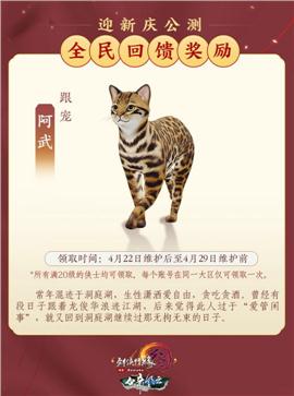 新疆天龙八部3私服